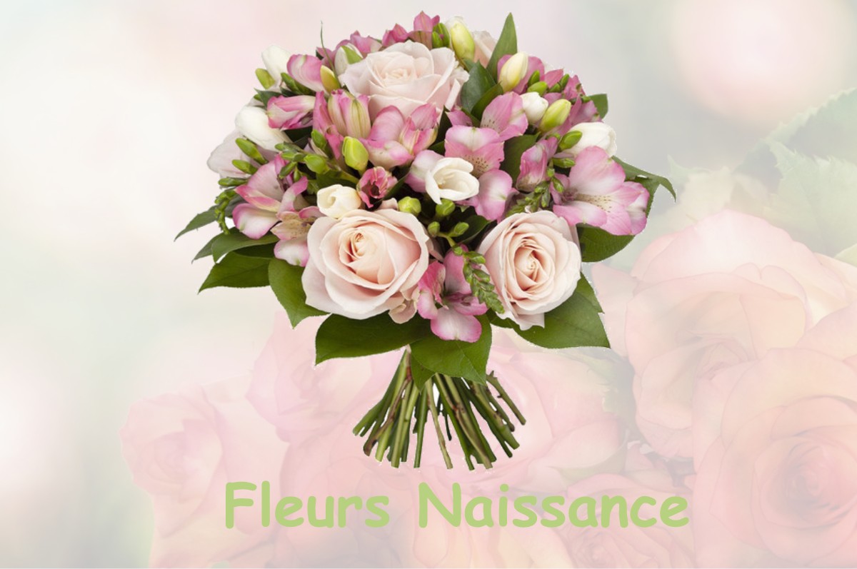 fleurs naissance PILLEMOINE