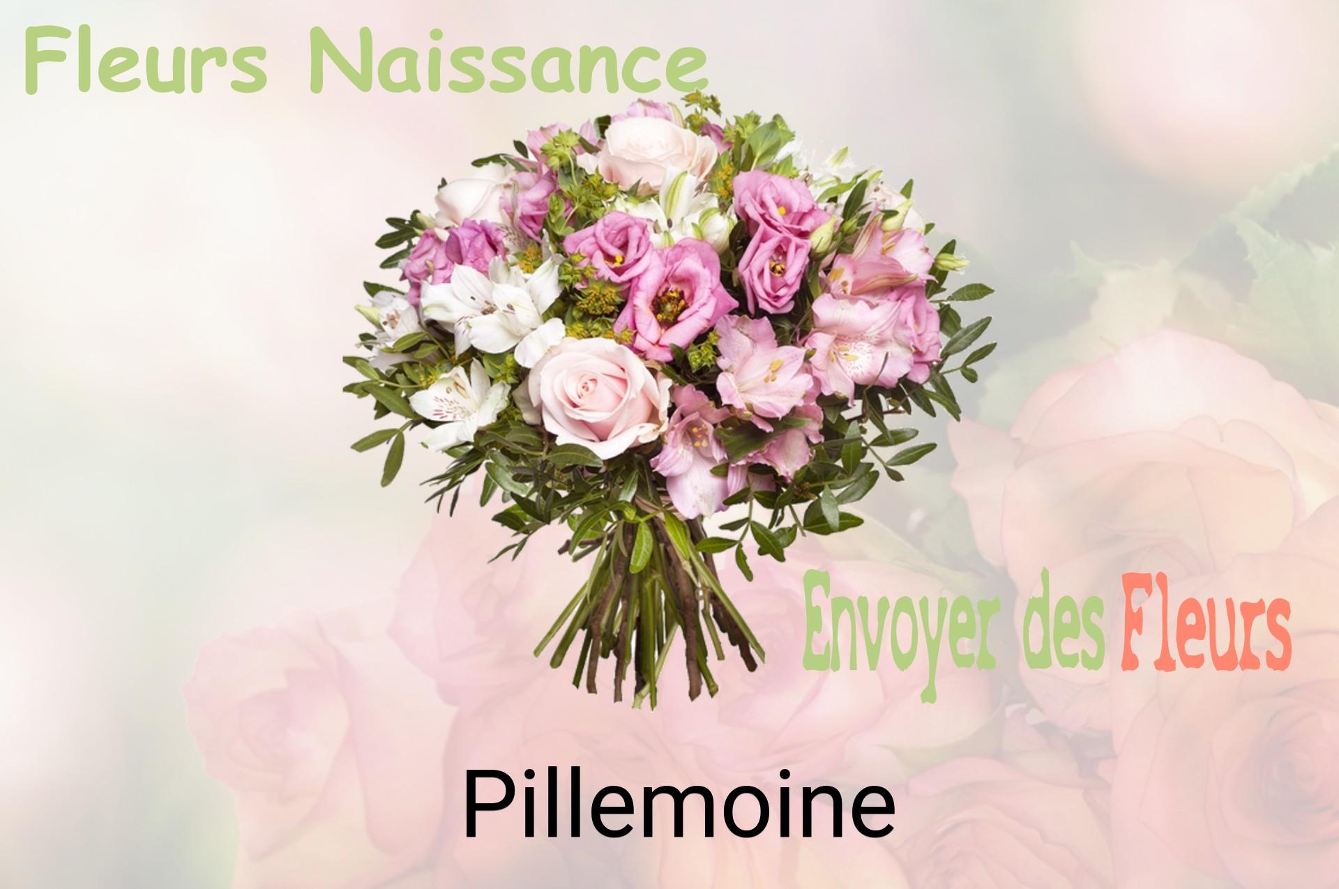 Bouquet de fleurs de naissance livré à Pillemoine