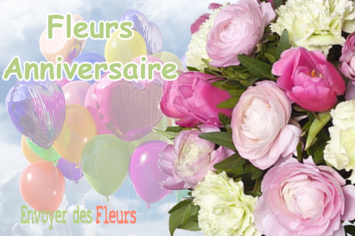 lIVRAISON FLEURS ANNIVERSAIRE à PILLEMOINE