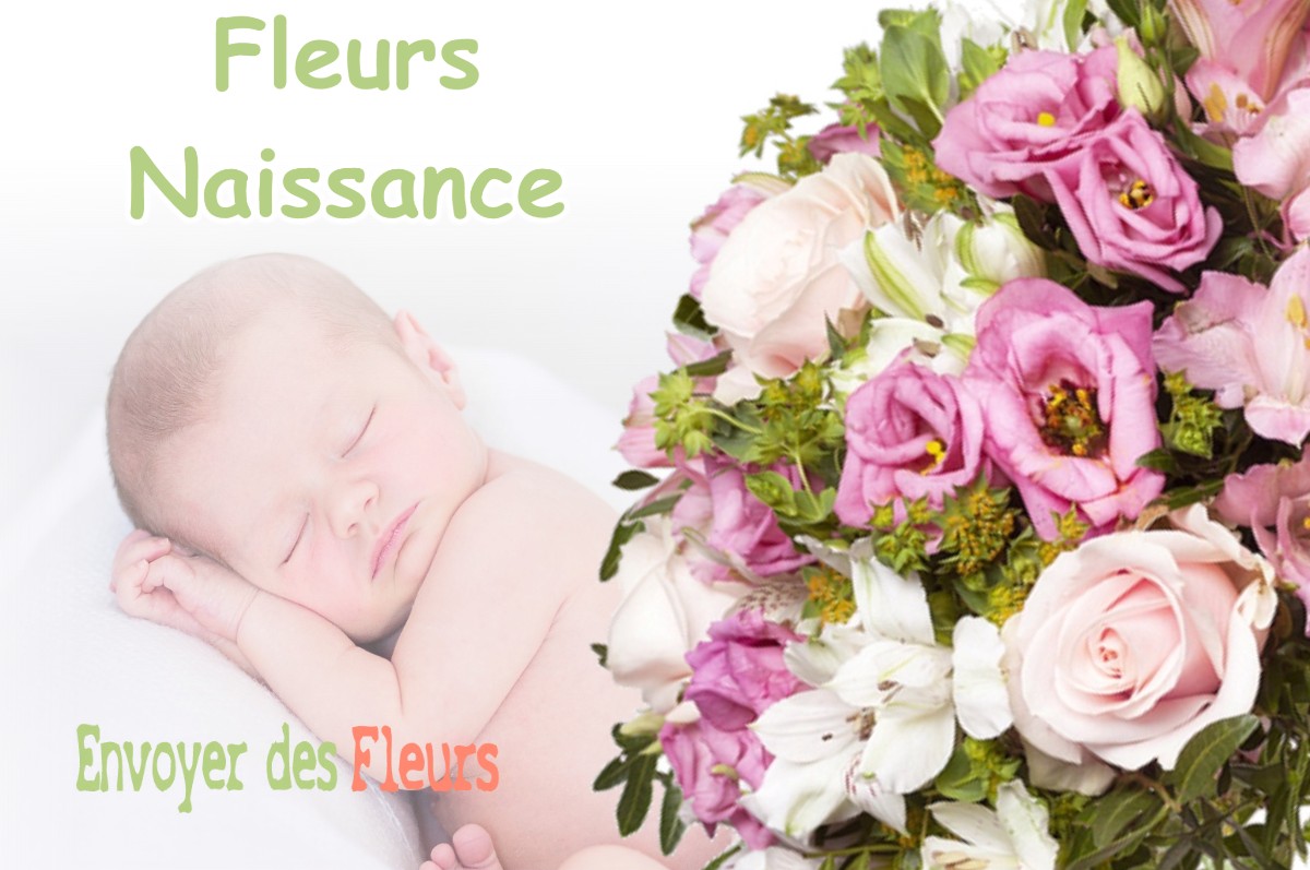 lIVRAISON FLEURS NAISSANCE à PILLEMOINE